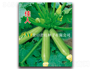 ����-�����J�N��-�I�ھ���