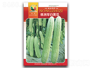 ��������S��-���S�ϷN��-�r(n��ng)֮��