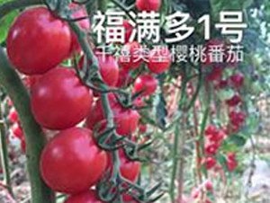 ���M��1̖(h��o)-���ҷ��ѷN��-��ػݝ�