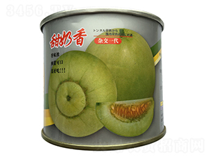 ������-��ϷN��-�r(n��ng)֮��