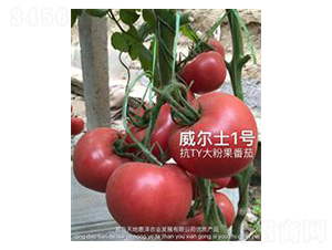 ����ʿ1̖(h��o)-�۹����ѷN��-��ػݝ�