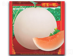 �t��һ̖-��ϷN��-����ӯ�r(n��ng)�I(y��)