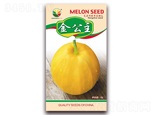 ����-��ϷN��-�r(n��ng)֮��