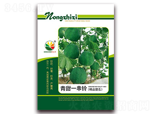 ����һ���-��ϷN��-�r(n��ng)֮��