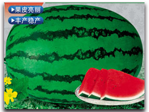 �޿��G��-���ϷN��-����ӯ�r(n��ng)�I(y��)