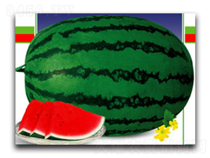 ������̖-���ϷN��-����ӯ�r(n��ng)�I(y��)