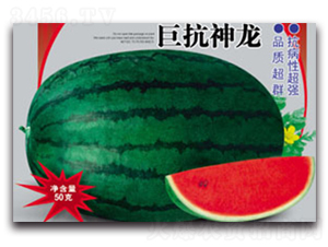 �޿�����-���ϷN��-����ӯ�r(n��ng)�I(y��)