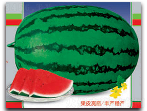 �޿���̖(h��o)-���ϷN��-����ӯ�r(n��ng)�I(y��)