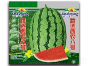 ���x���r(n��ng)��̖(h��o)-���ϷN��-����ӯ�r(n��ng)�I(y��)