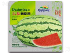 �tư���5̖(h��o)-���ϷN��-����ӯ�r(n��ng)�I(y��)