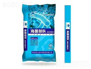 ΢�������-�������-��֮�{