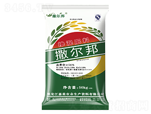 �������-������-����