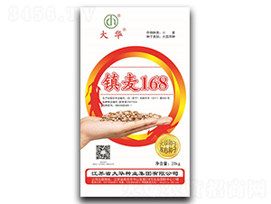 �(zh��n)��168-С���N��-���A�N�I(y��)