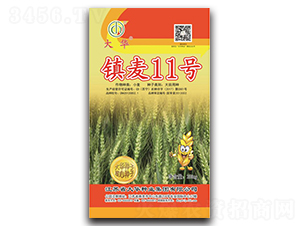 �(zh��n)��11̖(h��o)-С���N��-���A�N�I(y��)