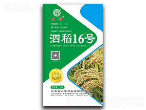 ����16̖-ˮ���N��-���A�N�I(y��)