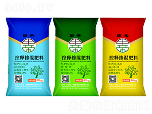 ��ጓ������-���