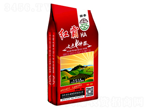 �ЙC(j��)�o�C(j��)����Ԫ��ˮ�ܷ���-�t��-���