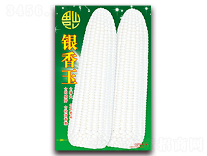 �y����-Ŵ���׷N��-���ǷN�I(y��)