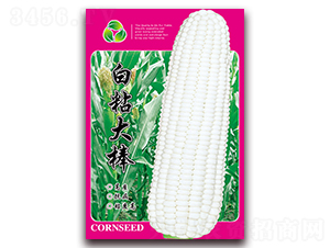 ��ճ���-Ŵ���׷N��-���ǷN�I(y��)