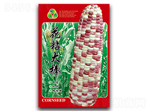 ��ճ���-Ŵ���׷N��-���ǷN�I(y��)