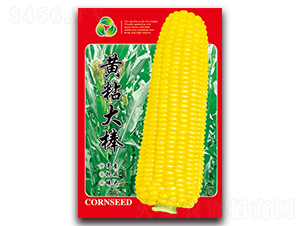 �Sճ���-Ŵ���׷N��-���ǷN�I(y��)