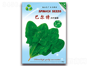 �͠���-���˷N��-���ǷN�I(y��)