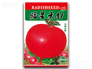 ���Ǵ�t-�}���N��-���ǷN�I(y��)