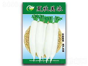 ��������-�}���N��-���ǷN�I(y��)