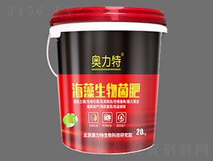 �����������-�W����-��˼�D