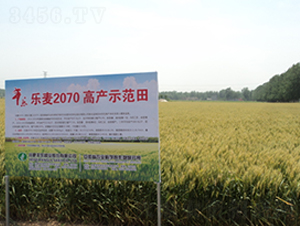 ��(l��)��207-С���N��-�S��(l��)�N�I(y��)