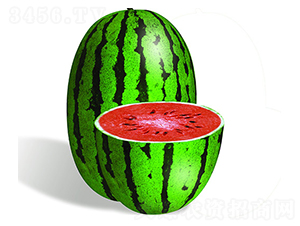 �S����̖(h��o)-���ϷN��-�S���N�I(y��)