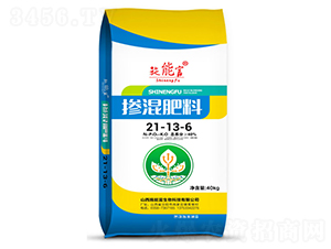 �������21-13-6-��Z��