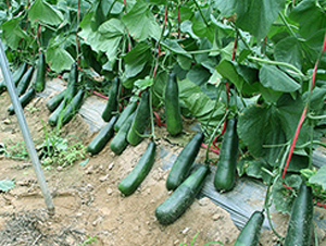 ī�����-��ϷN��-�S���N�I(y��)