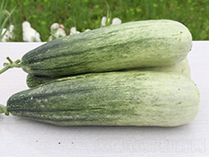 �S�����-��ϷN��-�S���N�I(y��)