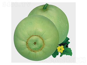 ������-��ϷN��-�S���N�I(y��)