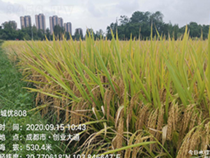 �\�ǃ�(y��u)808-ˮ���N��-�S��(l��)�N�I(y��)