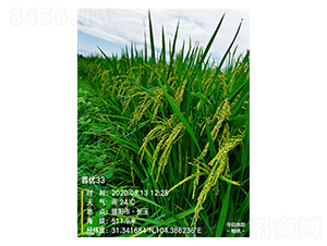 �؃�(y��u)33-ˮ���N��-�S��(l��)�N�I(y��)