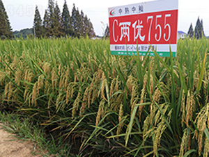 C�Ƀ�(y��u)755-ˮ���N��-�S��(l��)�N�I(y��)