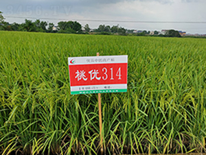 �҃�(y��u)314-ˮ���N��-�S��(l��)�N�I(y��)