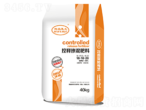 ��ጓ����18-10-20-�¸��R��-����