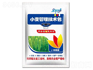 С���������g����ȫ��������-���ص���