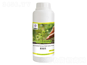 ��΢��-�����-�������