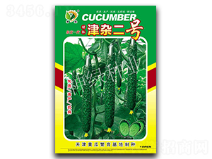 ���s��̖-�S�ϷN��-�A��N�I(y��)