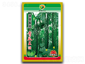 �;G�͟������-�S�ϷN��-�A��N�I(y��)