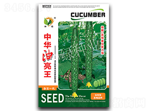 ���A������-�S�ϷN��-�A��N�I(y��)