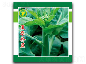 �Ĵ���{-���{�N��-���r(n��ng)