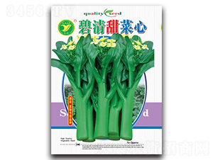 ������-���ķN��-���r(n��ng)