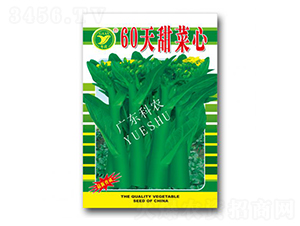 60�������-���ķN��-���r(n��ng)