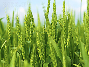 δ��(l��i)0818-С���N��-δ��(l��i)�N�I(y��)