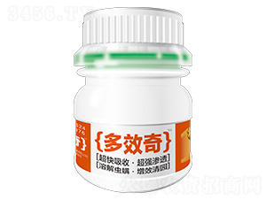 ��Ч��-�W�׵�˹